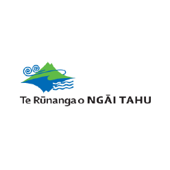 Te Runanga